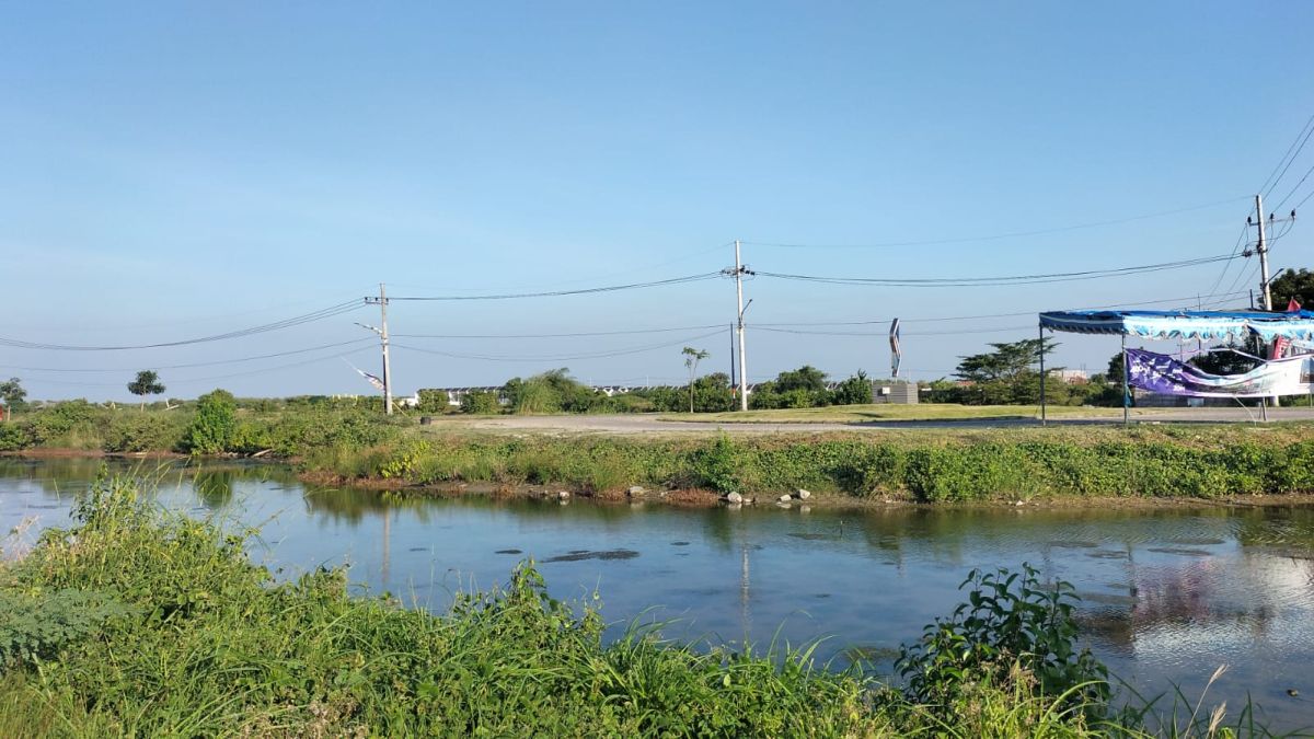 Dijual Tanah Luas 6 Hektar di Banjar Kemuning Juanda, Sidoarjo P