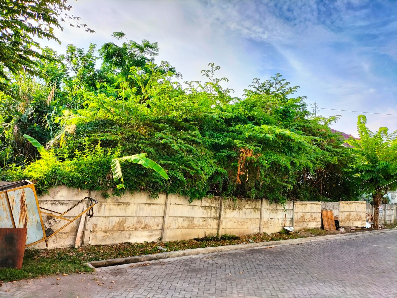 tanah disewakan mojo klanggru surabaya