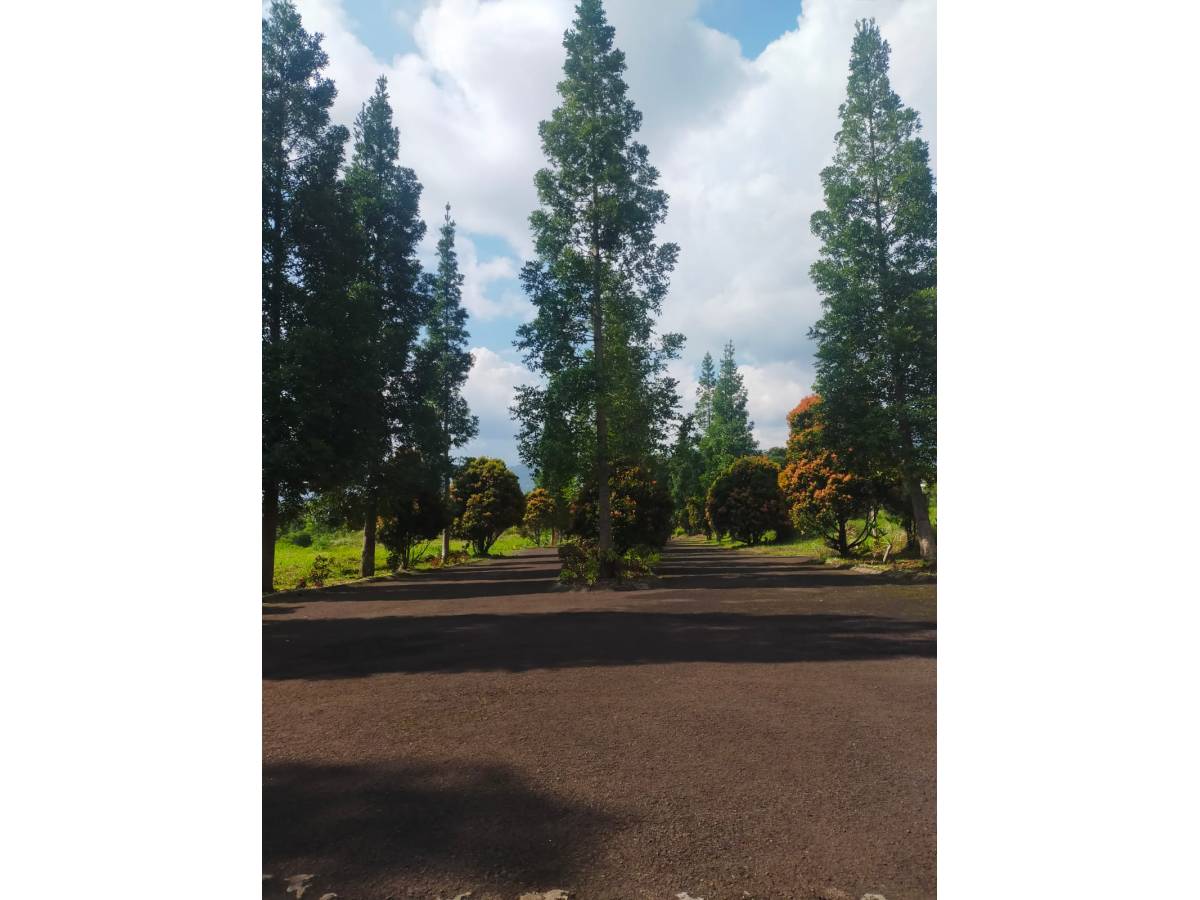 Jual Tanah Strategis di Kawasan Wisata Taman Safari Puncak