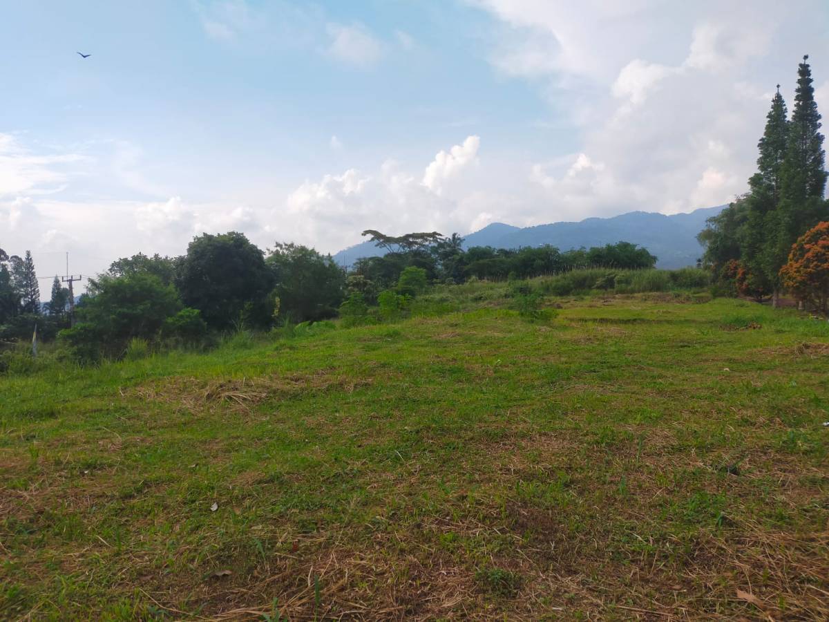 Jual Tanah Strategis di Kawasan Wisata Taman Safari Puncak