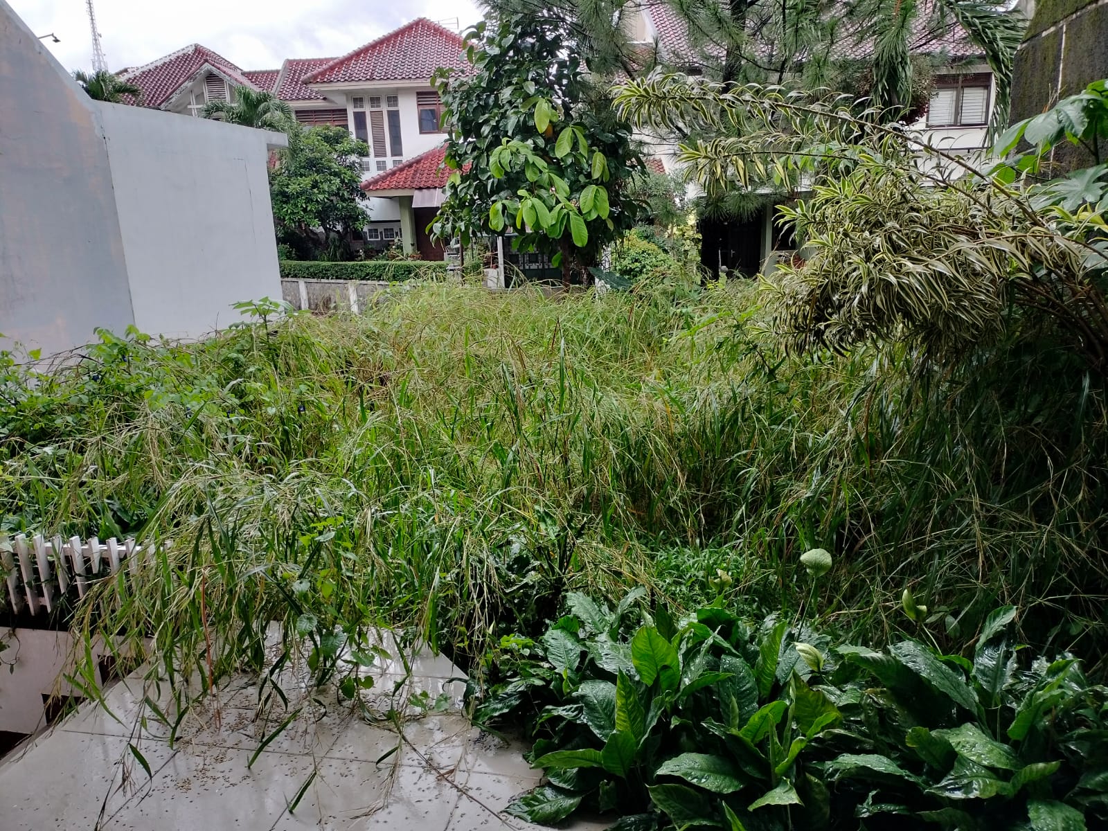 DIJUAL RUMAH LUX DAN MENARIK