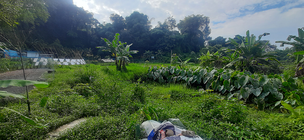 TANAH RESIDENSIAL UTK CLUSTER DI SERSAN BAJURI BANDUNG