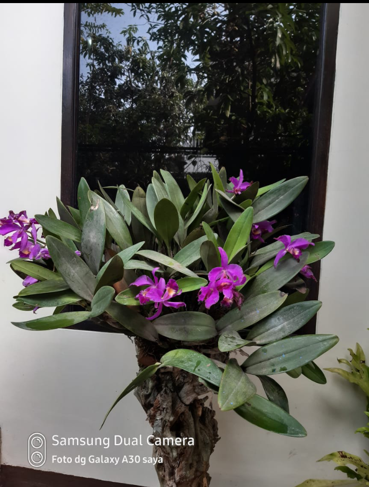 Gedebage dekat summarecon Bandung 2lantai rumah