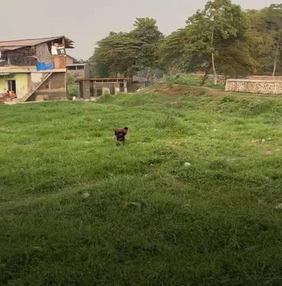 Tanah Strategis dan komersial deket Univ. Telkom