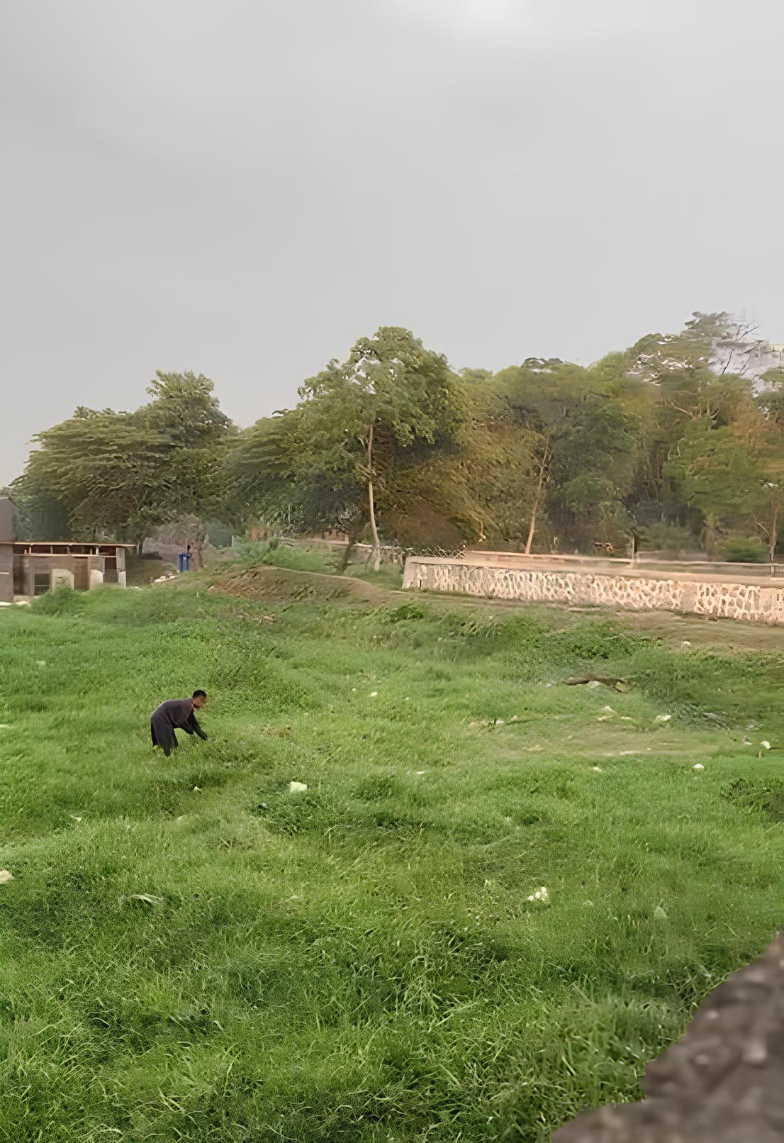 Di Jual Tanah Strategis Dekat Kampus Universitas Telkom