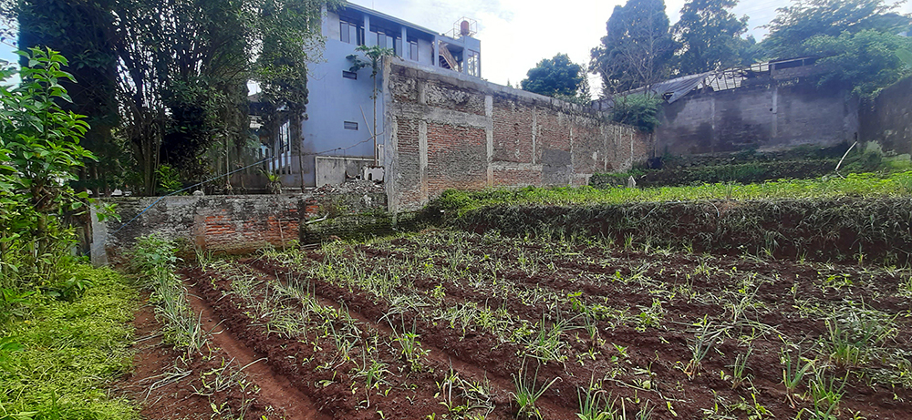 TANAH UTK RUMAH TINGGAL ATAU VILLA  SAYAP SERSAN BAJURI BANDUNG