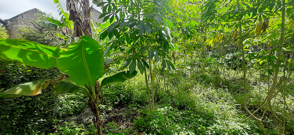 TANAH UNTUK RUMAH TINGGAL ATAU VILLA DI GEGER KALONG BANDUNG