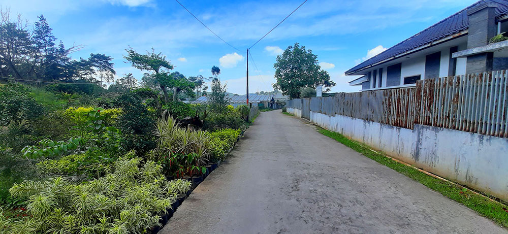 TANAH KAVLING STRAWBERRY SAYAP JALAN SERSAN BAJURI BANDUNG