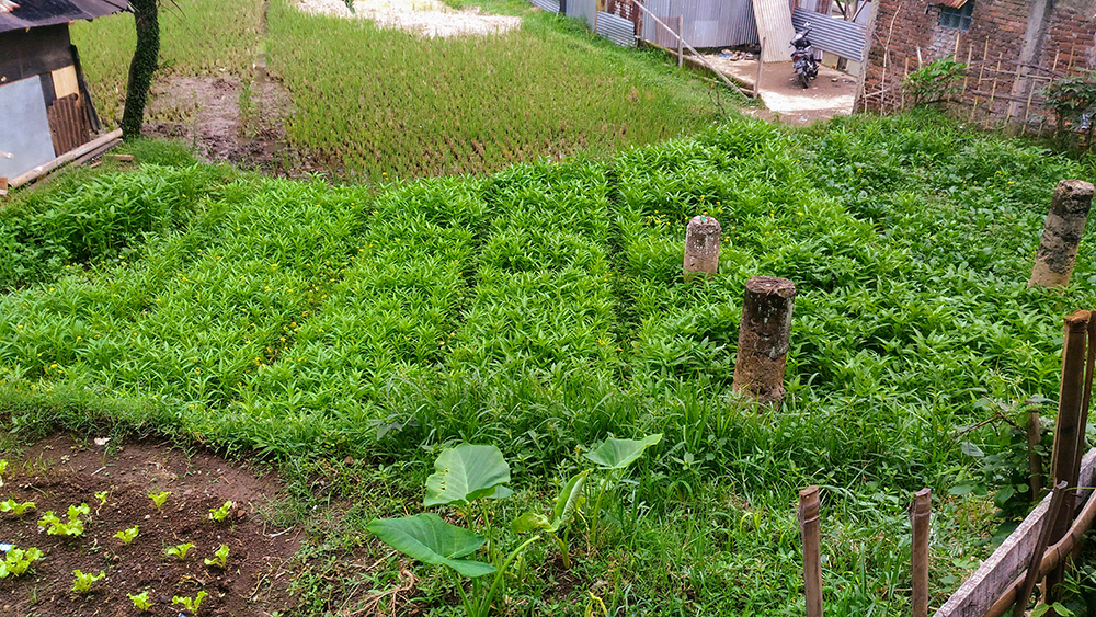 TANAH KOMERSIAL SAYAP JALAN CIHANJUANG, BANDUNG BARAT