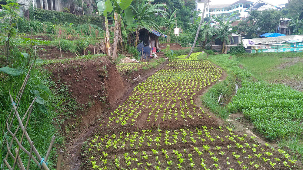 TANAH KOMERSIAL SAYAP JALAN CIHANJUANG, BANDUNG BARAT