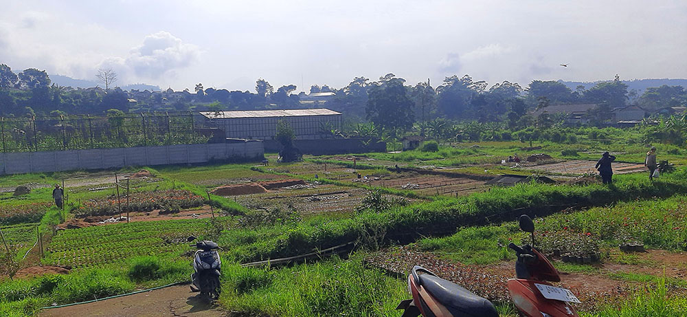TANAH DEKAT LEMBANG PARK AND ZOO SAYAP JL. SERSAN BAJURI BANDUNG