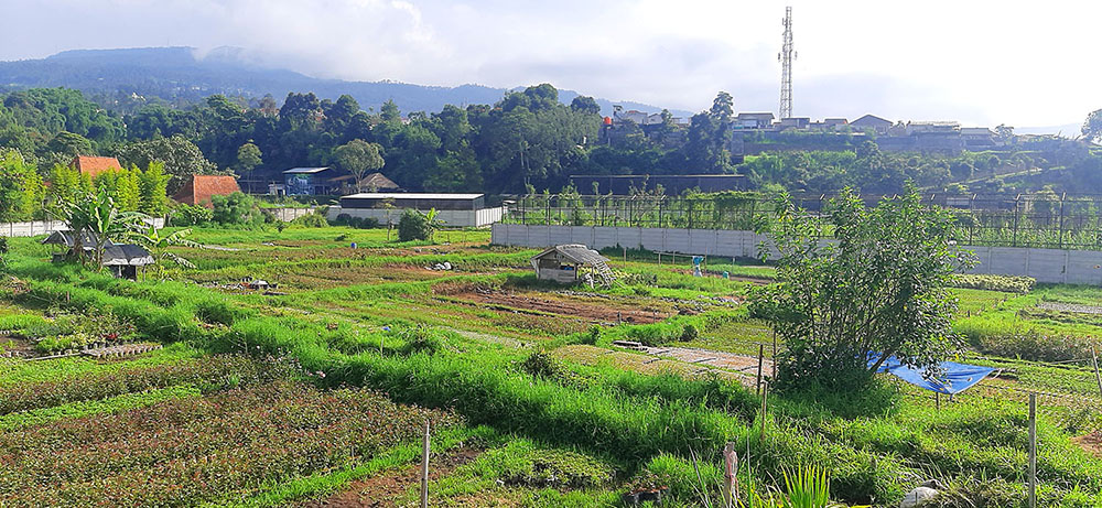 TANAH DEKAT LEMBANG PARK AND ZOO SAYAP JL. SERSAN BAJURI BANDUNG
