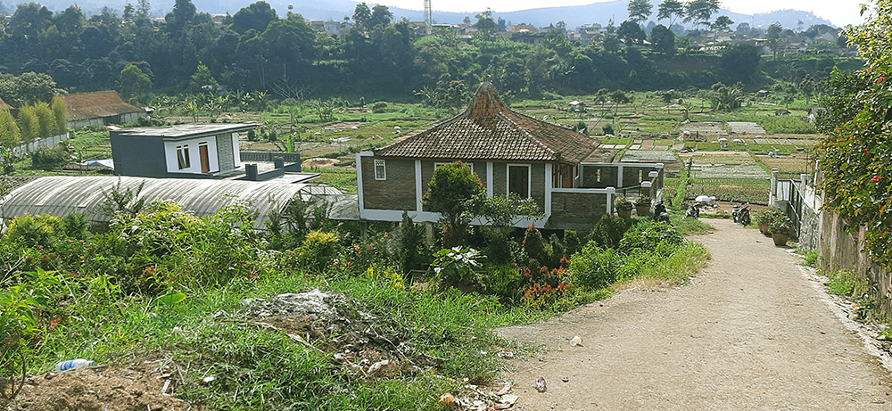 TANAH DEKAT LEMBANG PARK AND ZOO SAYAP JL. SERSAN BAJURI BANDUNG