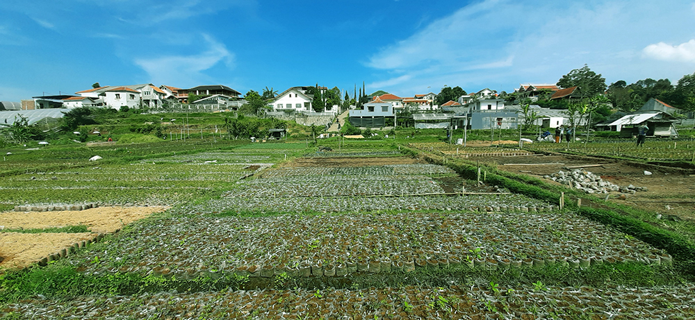 TANAH DEKAT LEMBANG PARK AND ZOO SAYAP JL. SERSAN BAJURI BANDUNG