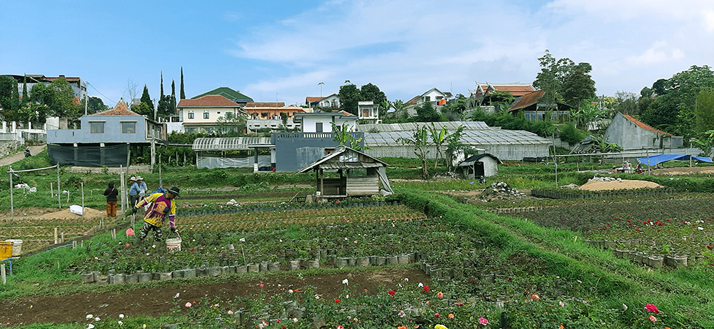 TANAH DEKAT LEMBANG PARK AND ZOO SAYAP JL. SERSAN BAJURI BANDUNG