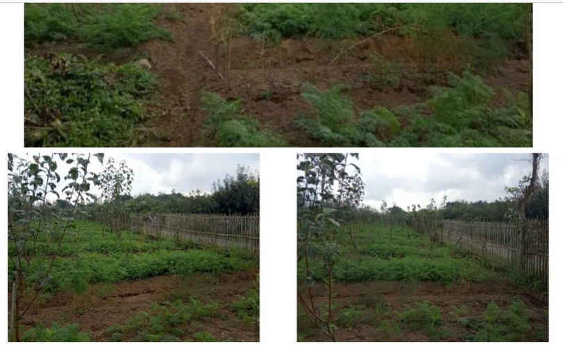 Dijual Tanah Kavling Murah Cocok Untuk Rumah/Gudang