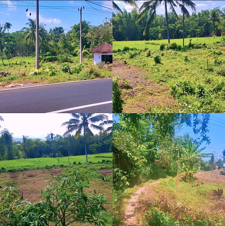 Tanah Dijual Bondowoso,(ada rumah) dekat Universitas Negri Jembe