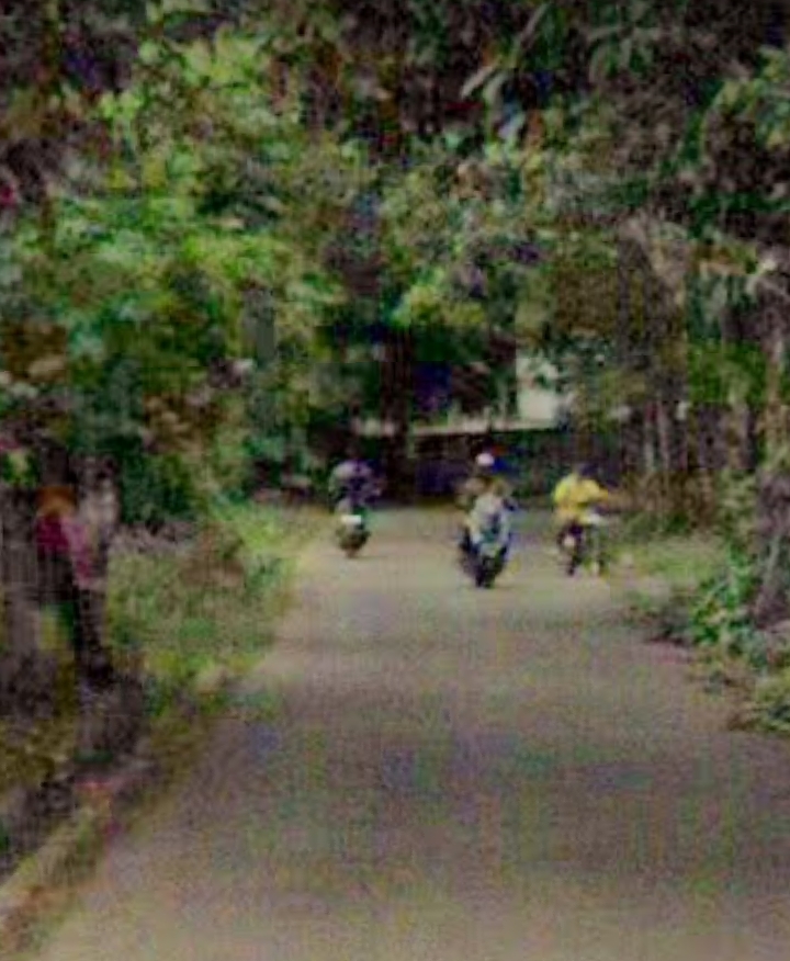 DIJUALCEPAT TANAH 1,2 HA SHM JL. KP KANDANG SAMPING HIERA BSD