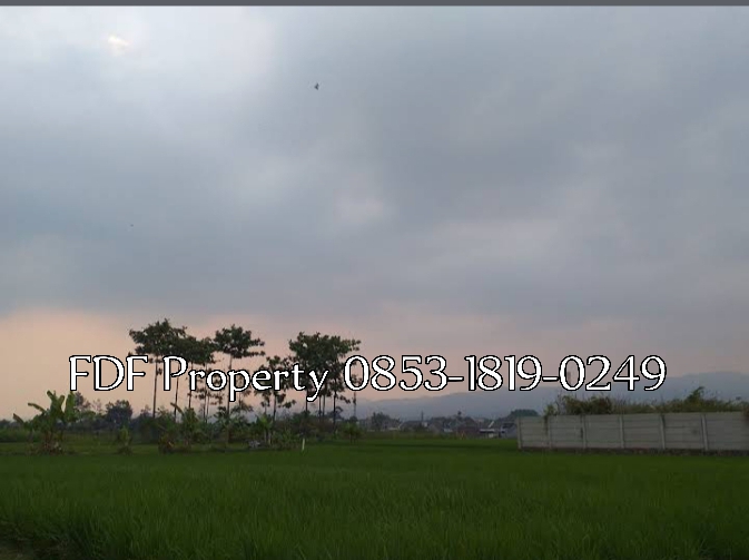 Tanah sawah di Cisaranten Bandung