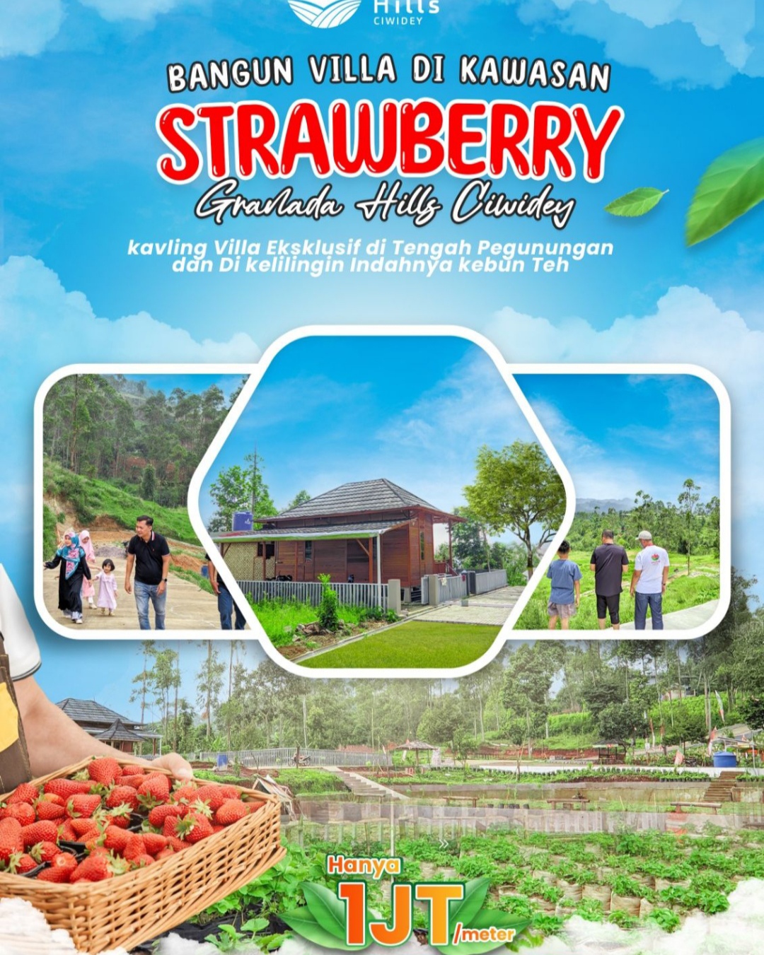 Kavling Kebun Strawbery di Jantung Wisata Ciwidey