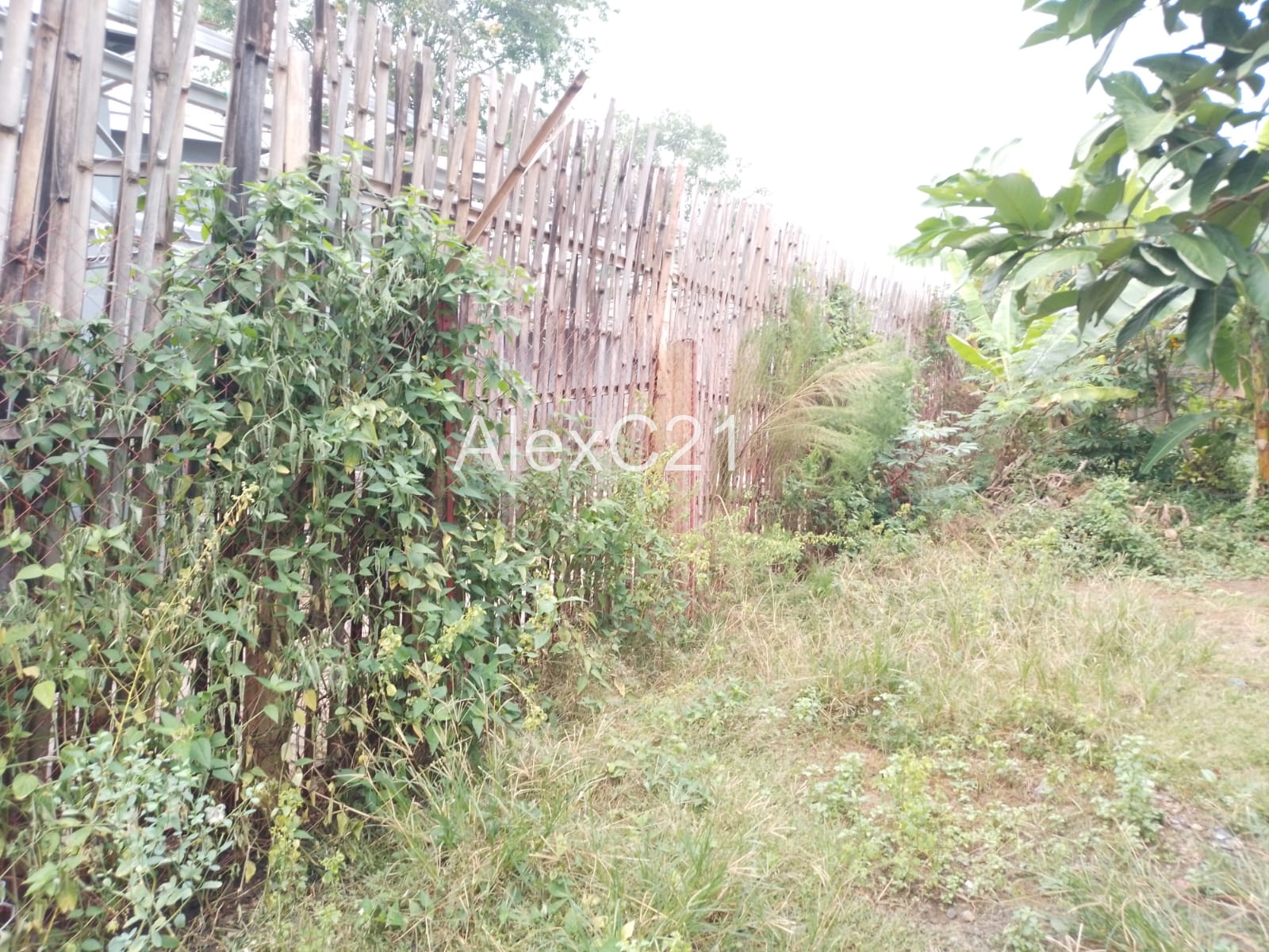 Dijual Tanah Saja (bangunan gratis + gudang ) di Cibubur