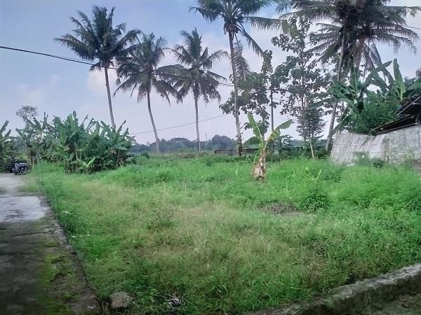 Tanah pekarangan murah cocok untuk kavling di caturharjo