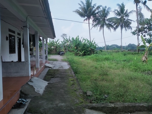 Tanah pekarangan murah cocok untuk kavling di caturharjo