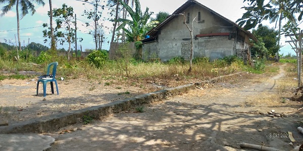 Tanah pekarangan murah cocok untuk kavling di caturharjo