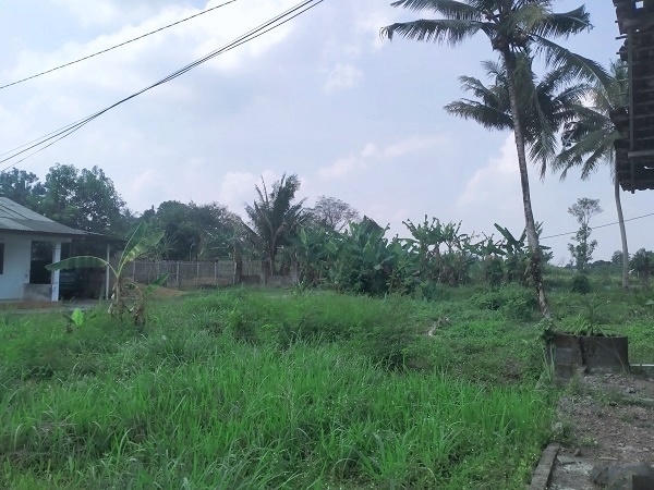 Tanah pekarangan murah cocok untuk kavling di caturharjo