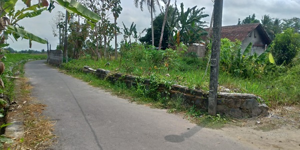 Tanah pekarangan murah cocok untuk kavling di caturharjo