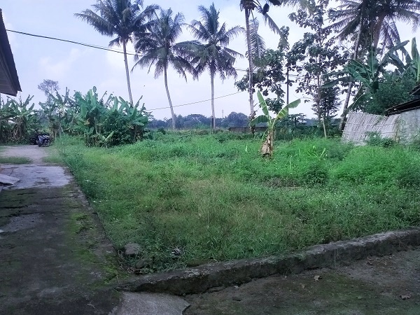 Tanah pekarangan murah cocok untuk kavling di caturharjo