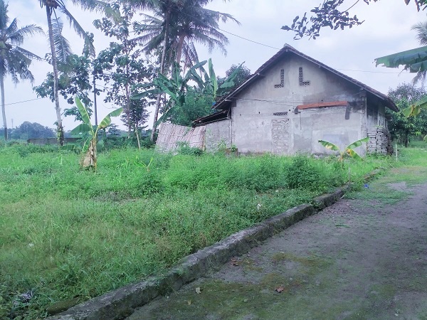 Tanah pekarangan murah cocok untuk kavling di caturharjo