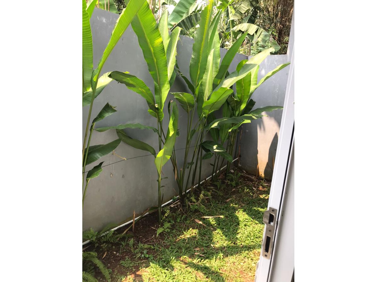 Rumah Strategis di Cluster Sun Mansion, Tajurhalang, Bogor P0129