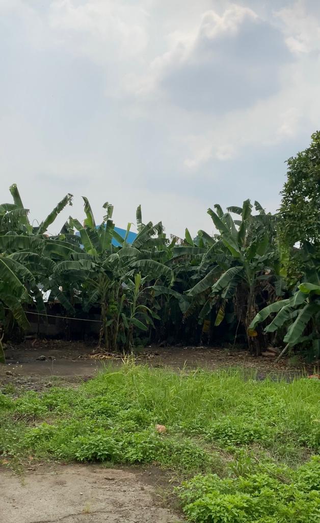 Dijual tanah komersil selangkah dari toll di Bambu Kuning