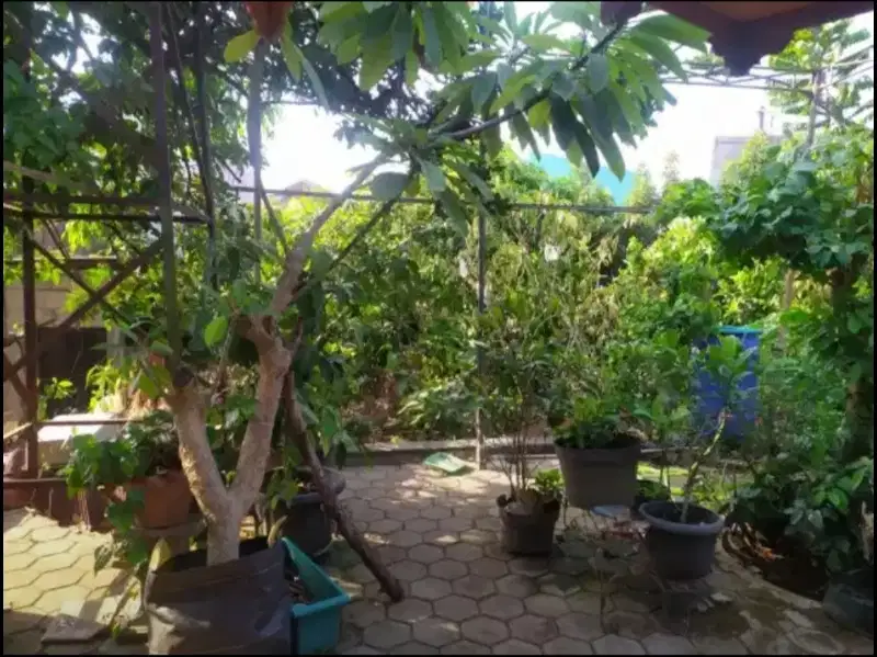 Rumah Bonus Tanah Kosong 400m2, 300 Meter Ke Ulujami Raya