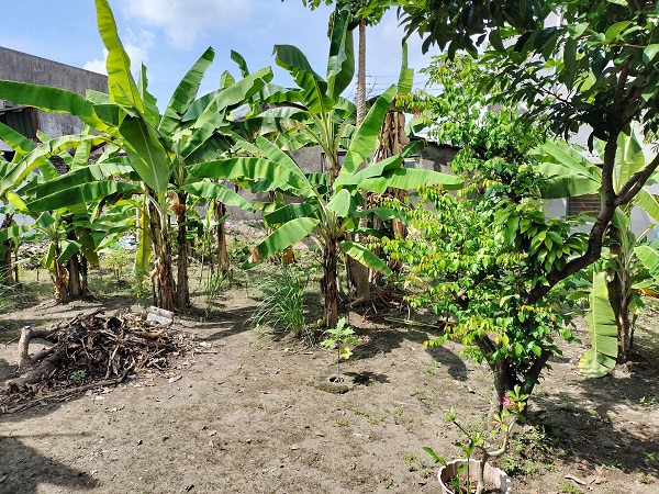 Tanah Kavling strategis siap bangun rumah minimalis  di Gambiran