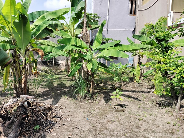 Tanah Kavling strategis siap bangun rumah minimalis  di Gambiran