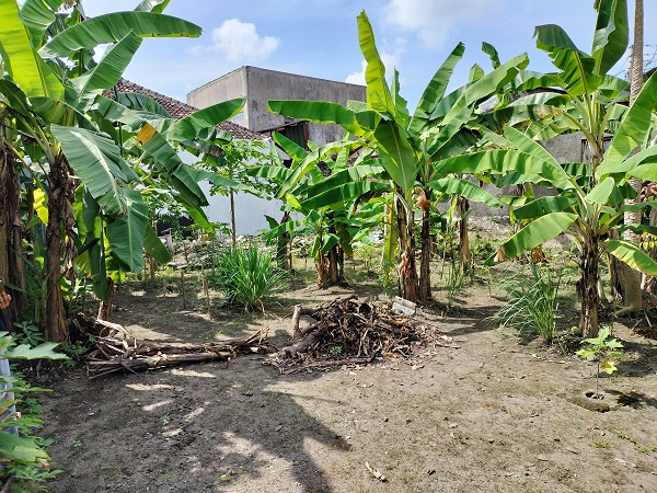 Tanah Kavling strategis siap bangun rumah minimalis  di Gambiran