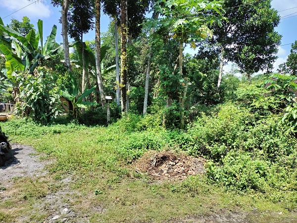 Tanah pekarangan Hook cocok untuk bangun rumah di Margoagung