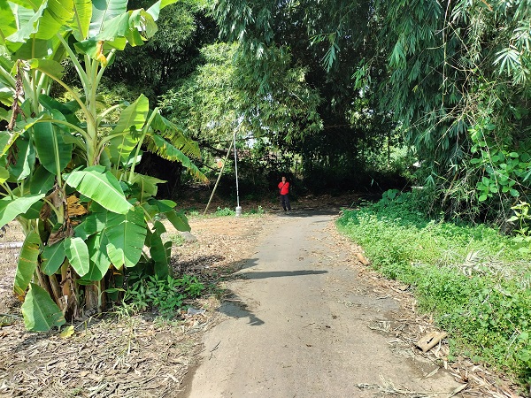 Kavlng Murah strategis siap bangun rumah di sayegan  sleman