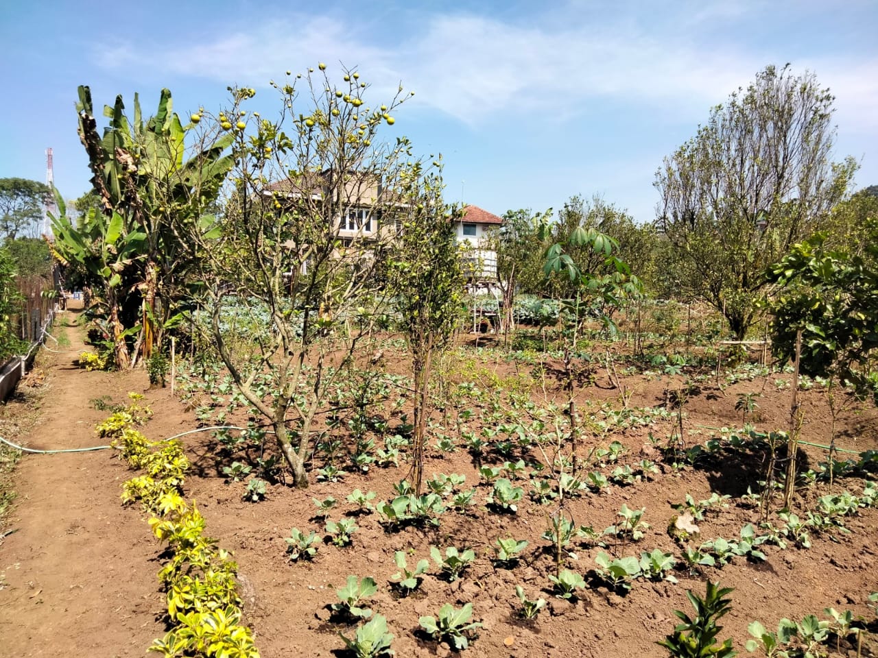 Dijual Villa Eksklusif di Batu – Suasana Asri dan Sejuk!