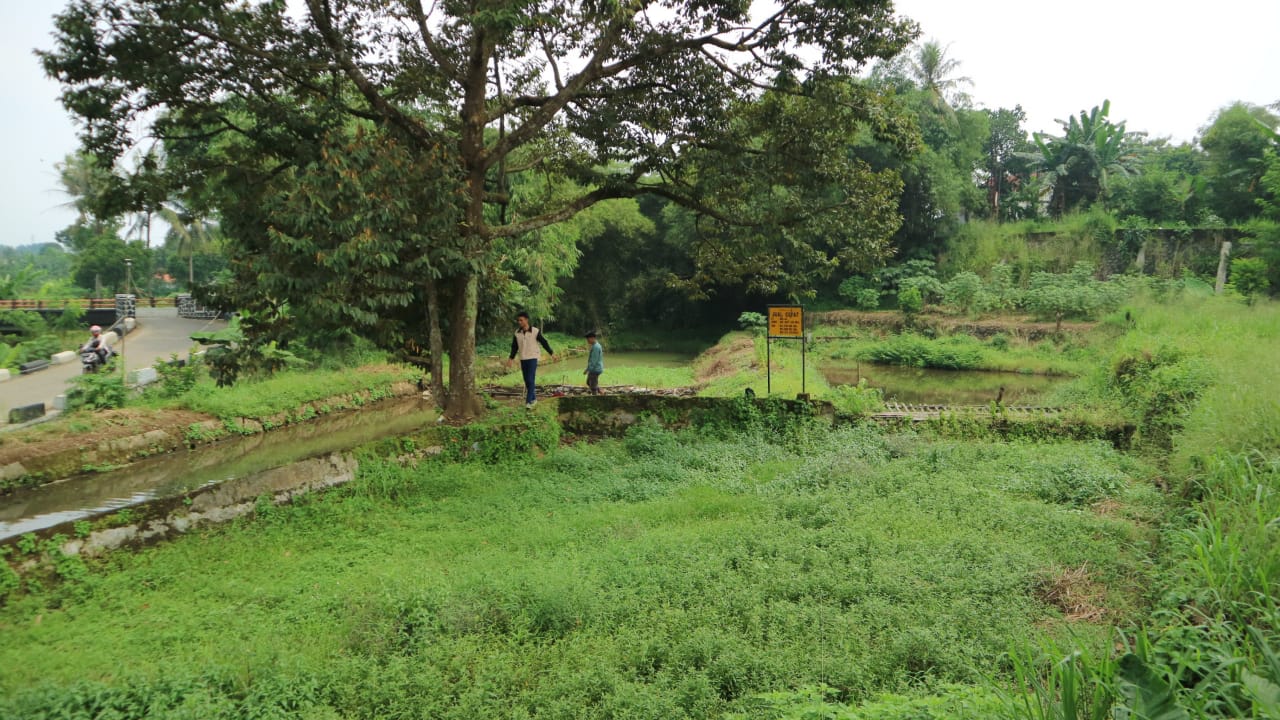 Dijual cepat Tanah dan Empang kawasan Cihideung Hilir