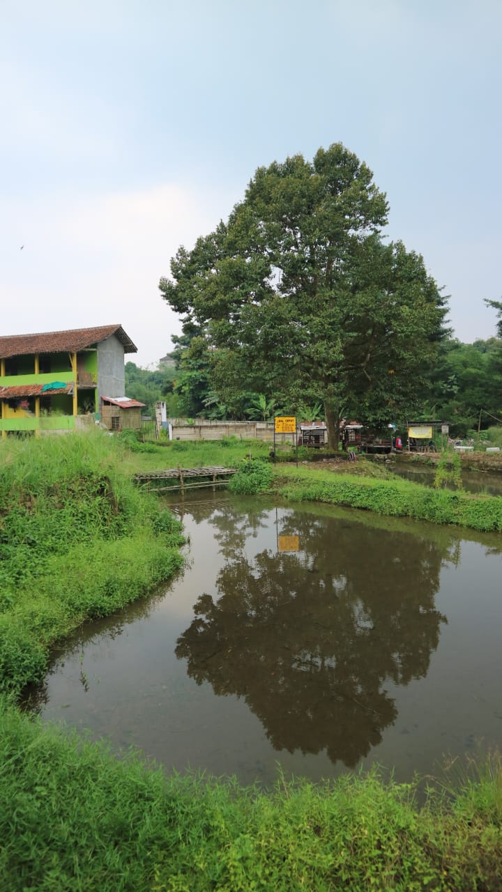 Dijual cepat Tanah dan Empang kawasan Cihideung Hilir