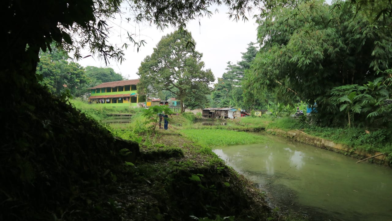 Dijual cepat Tanah dan Empang kawasan Cihideung Hilir