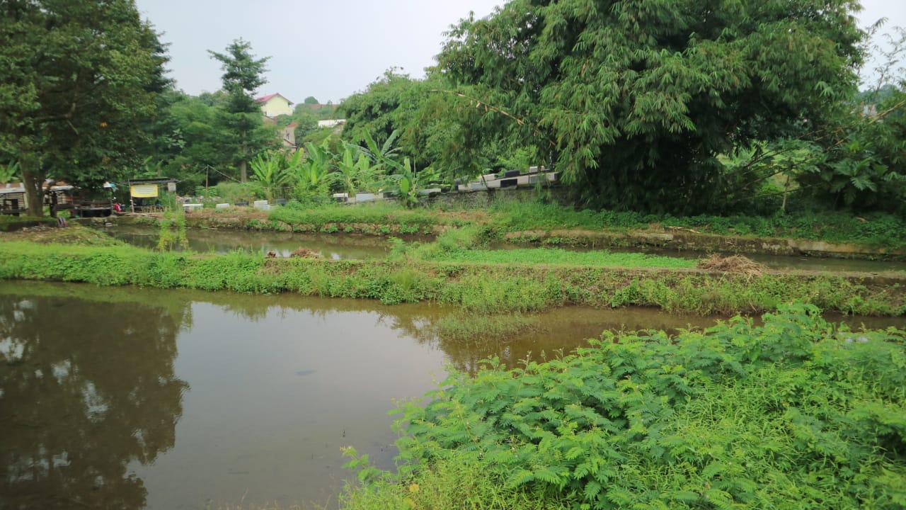 Dijual cepat Tanah dan Empang kawasan Cihideung Hilir