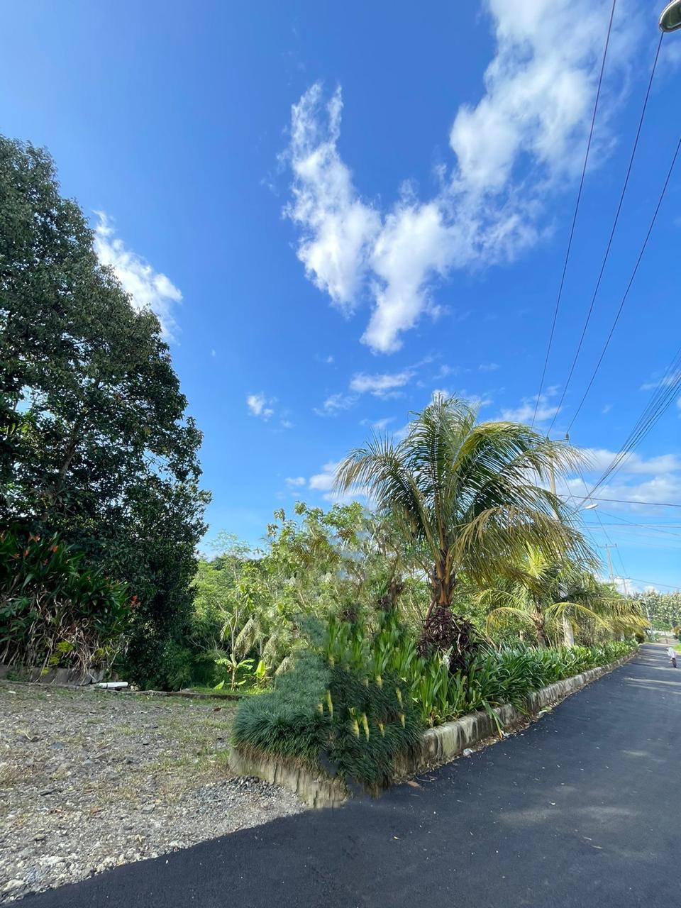 Bukit Ciampea Asri Perumahan Murah Di Bogor Dekat Kampus IPB
