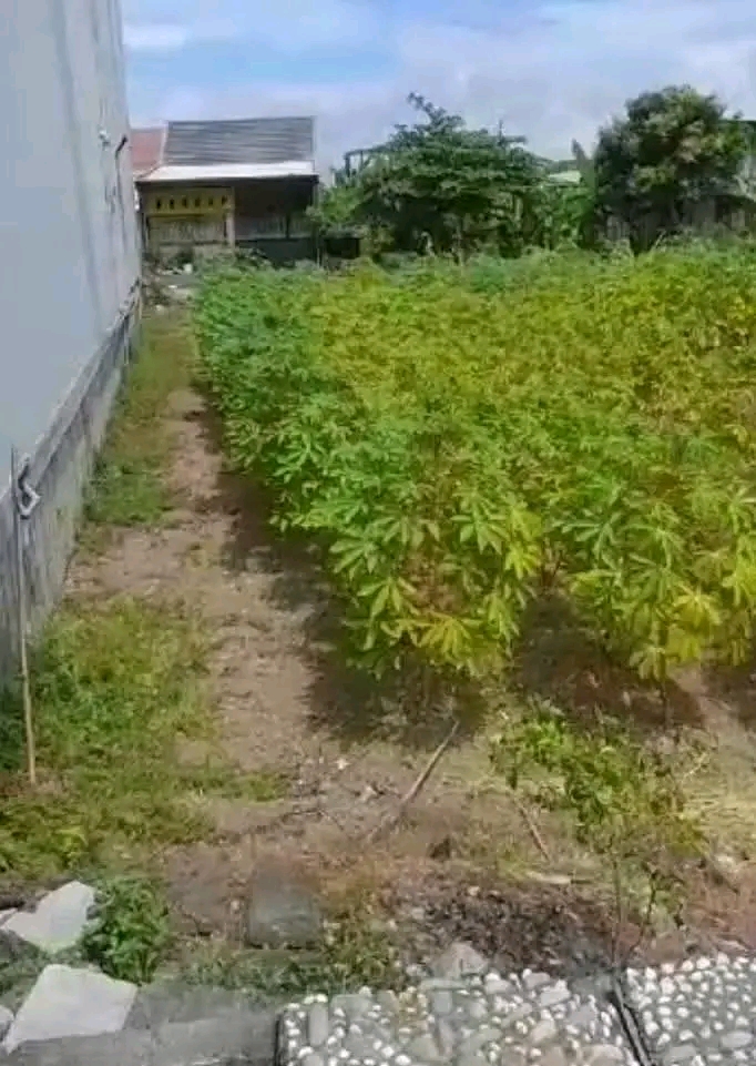 TERMURAH!! TANAH KAVLING SHM MILIK PRIBADI DI BUNCITAN SEDATI