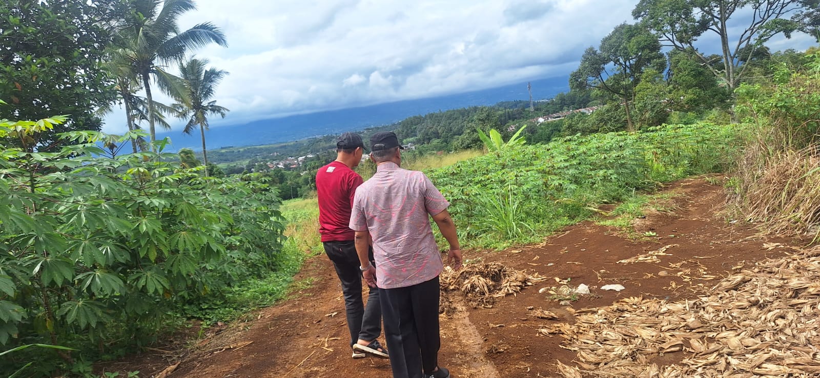 Dijual Cepat Tanah Murah 25 Hektar Pinggir Tol Ciambar Sukabumi