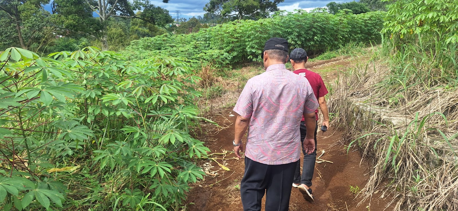 Dijual Cepat Tanah Murah 25 Hektar Pinggir Tol Ciambar Sukabumi