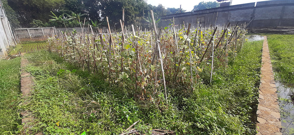 Kavling 135 m2 Muka 9 Meter SHM di Cisaranten Kulon Arcamanik Bd